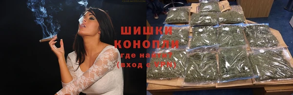 молекула духа Ростов