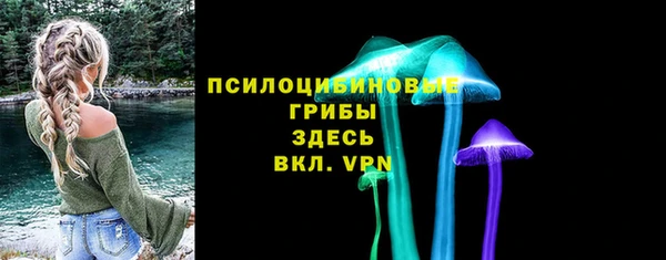 молекула духа Ростов