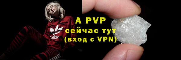 молекула духа Ростов