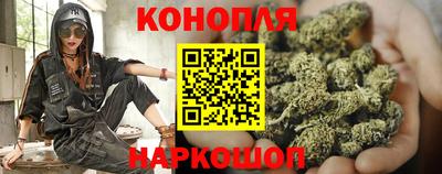 Альфа ПВП Пушкино