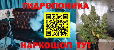 гидра Партизанск