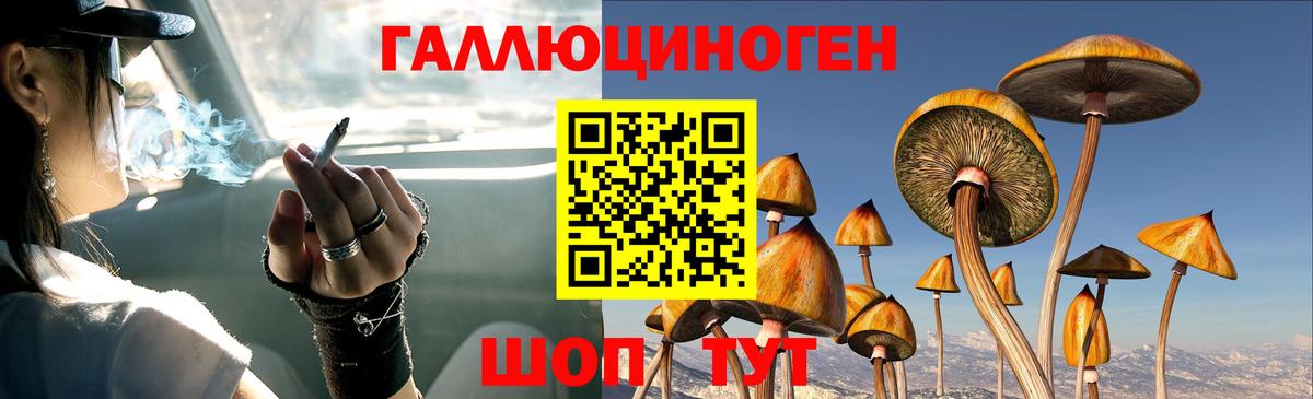 Псилоцибиновые грибы Psilocybine cubensis Стрежевой